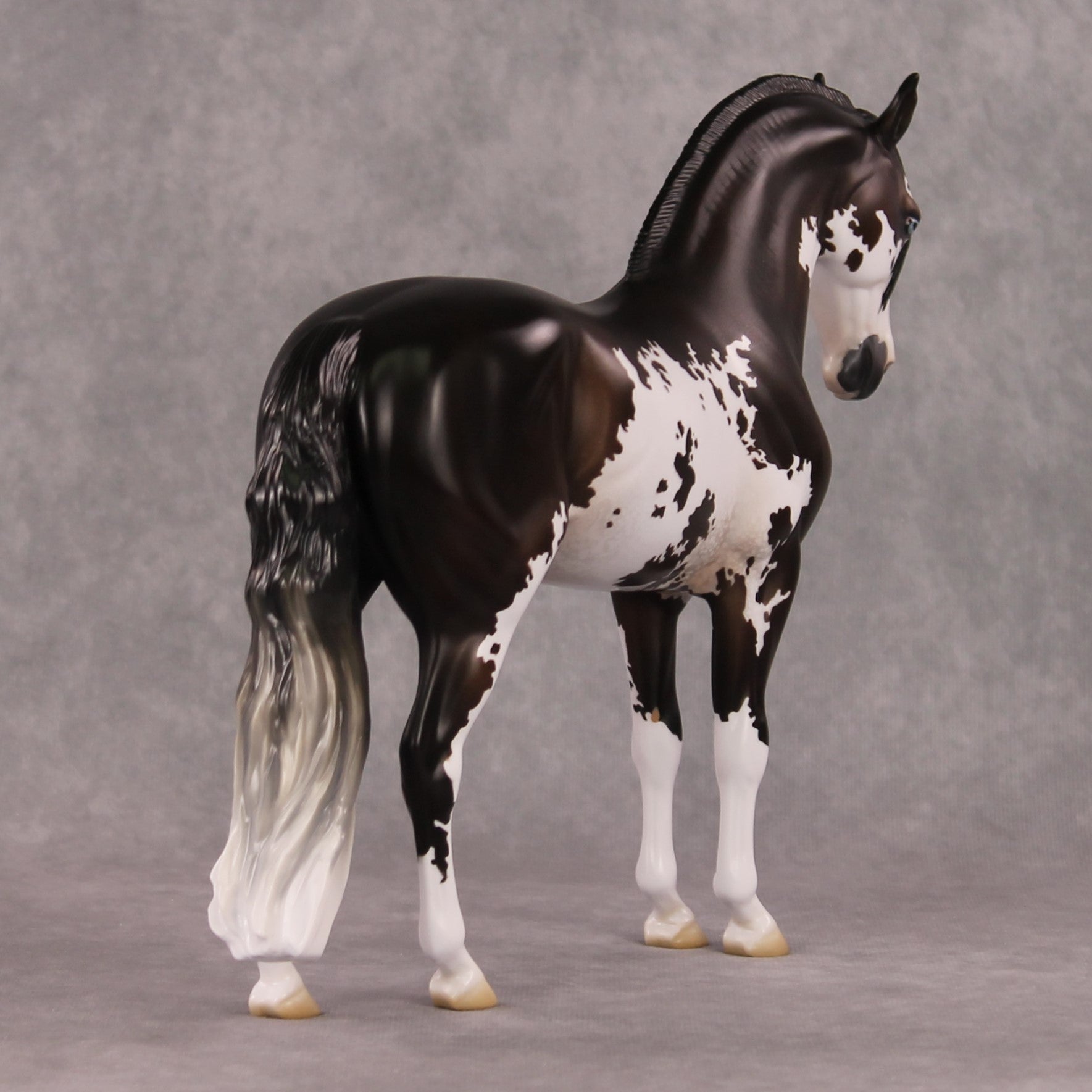 Oymyakon OOAK Bay Pinto Criollo Andalusian By Jess Hamill HS24