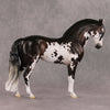 Oymyakon OOAK Bay Pinto Criollo Andalusian By Jess Hamill HS24