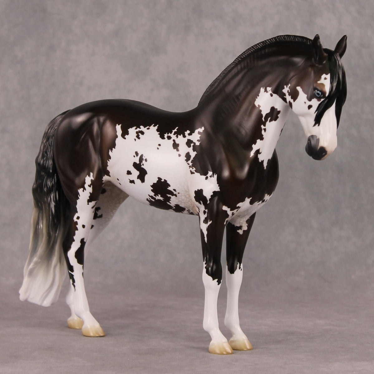 Oymyakon OOAK Bay Pinto Criollo Andalusian By Jess Hamill HS24