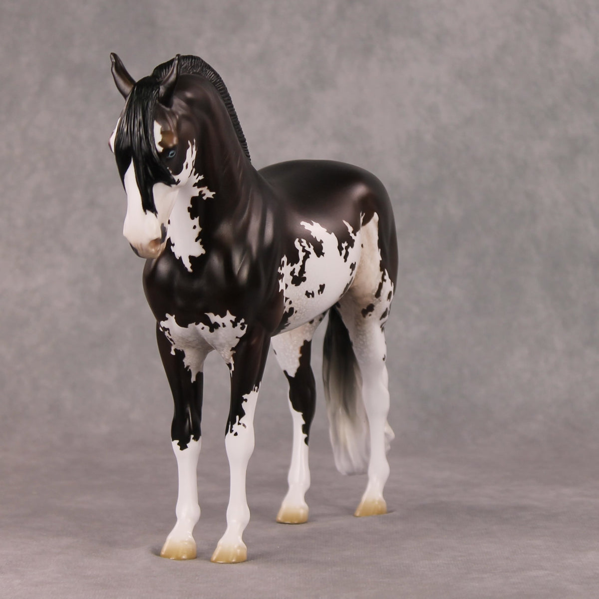 Oymyakon OOAK Bay Pinto Criollo Andalusian By Jess Hamill HS24