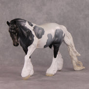 Brumal OOAK Blue Roan Pinto Irish Cob By Jess Hamill HS24