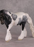 Brumal OOAK Blue Roan Pinto Irish Cob By Jess Hamill HS24