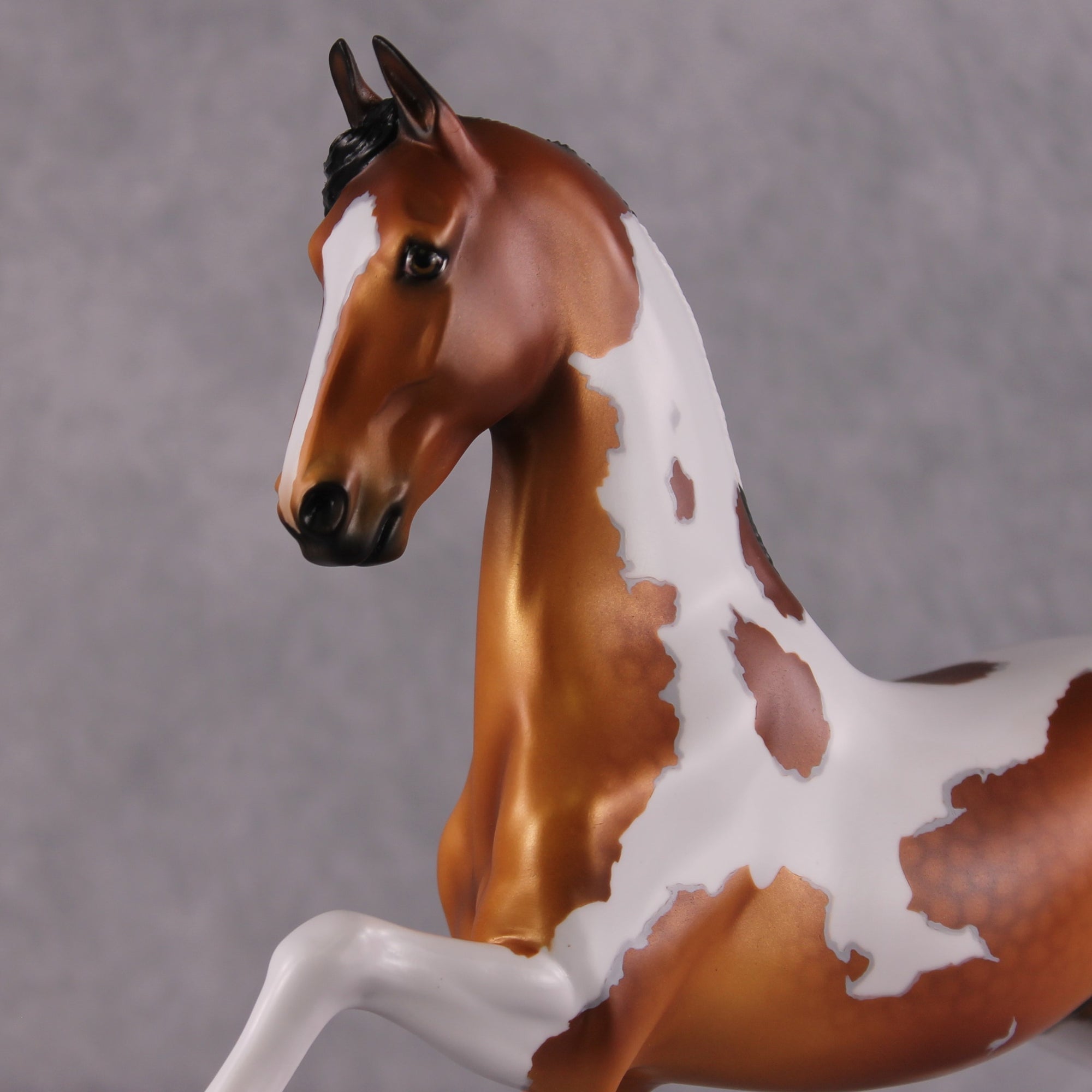 "Feelin' Like Gold" OOAK FCM Saddlebred By Ellen Robbins Best Offer 04/08/2025