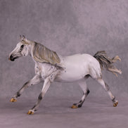 Art of the Horse 