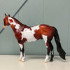 Impasto OOAK Bay Overo Ideal Stock Horse By Dawn Quick EQ24