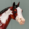 Impasto OOAK Bay Overo Ideal Stock Horse By Dawn Quick EQ24