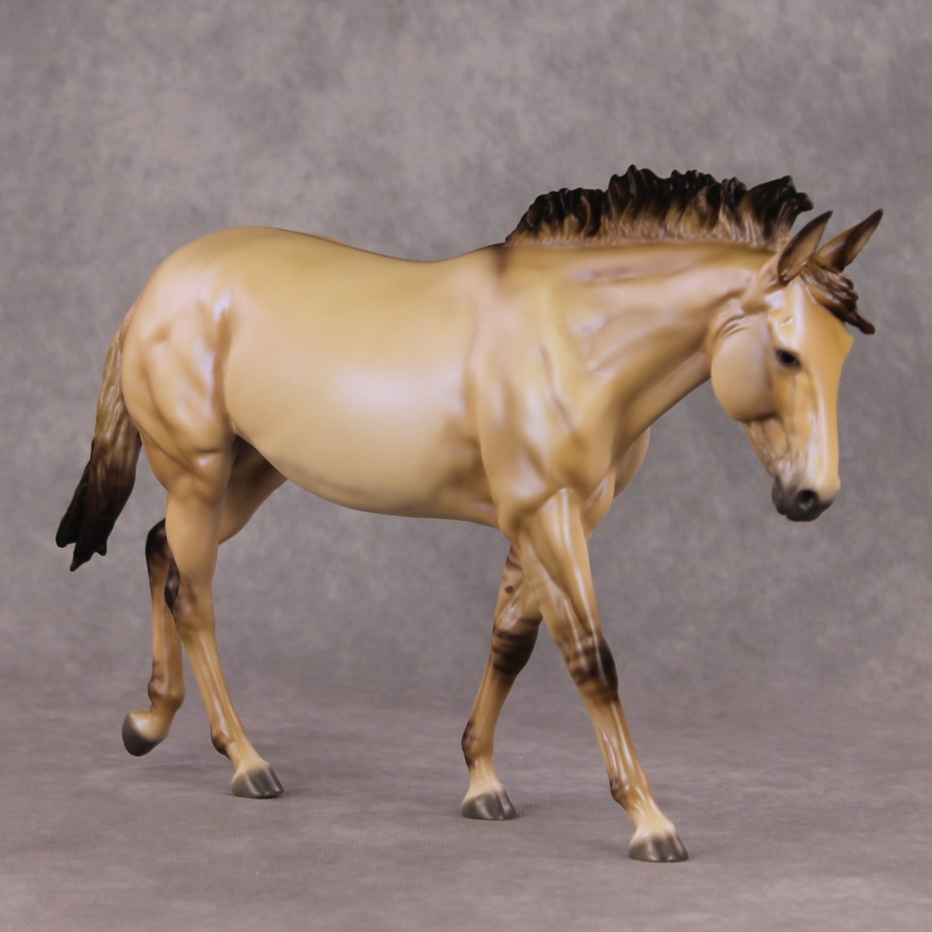 Wildest Fantasy OOAK Dark Dun Mule By Ellen Robbins HS24