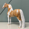 Zugzwang OOAK Dappled Palomino Tobiano Morgan By Dawn Quick EQ24