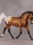 Happy OOAK  Bay Blanket Appaloosa Palouse By Angela Marleau HS24