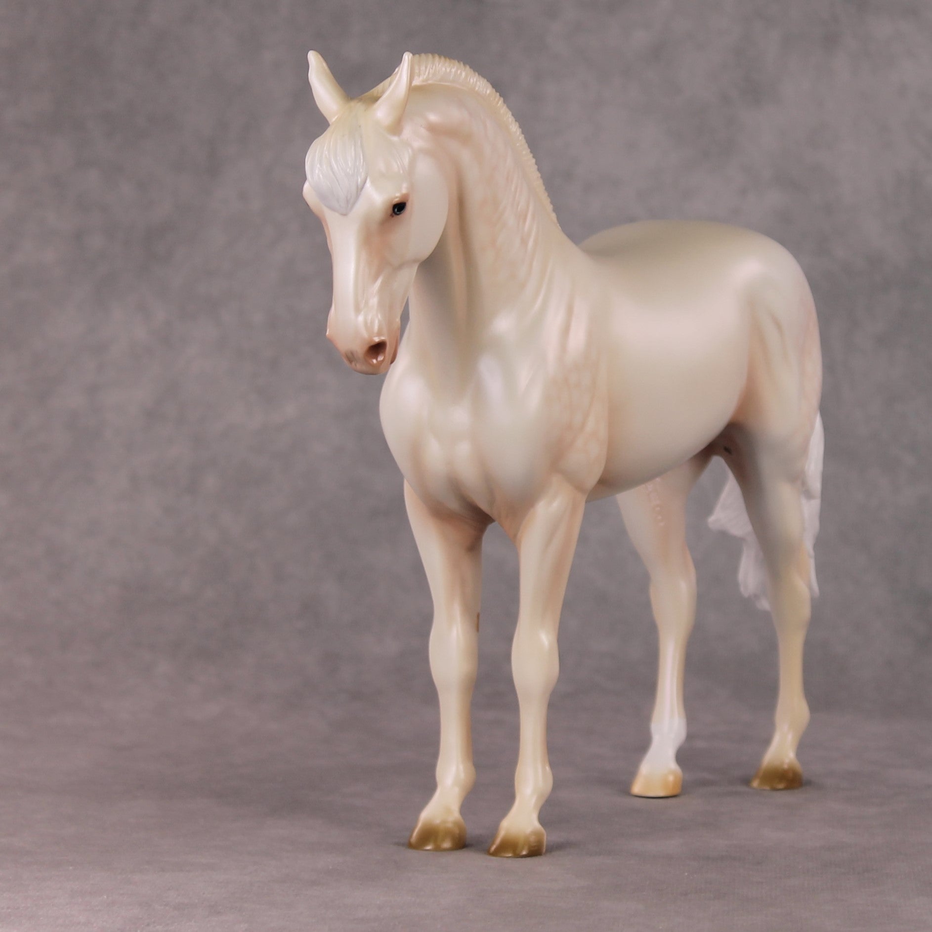 Sugar Plum Prince OOAK  Dappled Cremello Andalusian By Ashley Palmer HS24