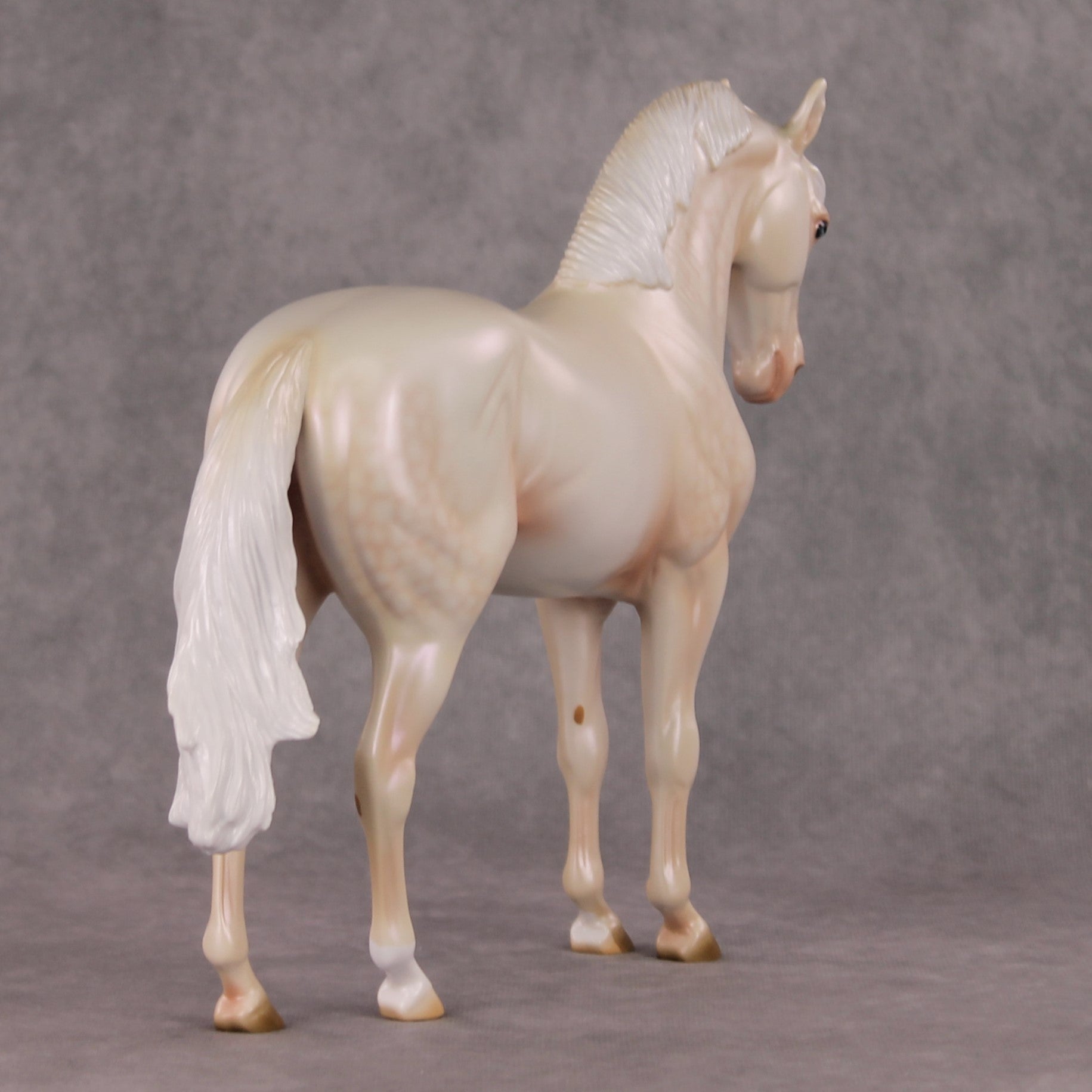 Sugar Plum Prince OOAK  Dappled Cremello Andalusian By Ashley Palmer HS24