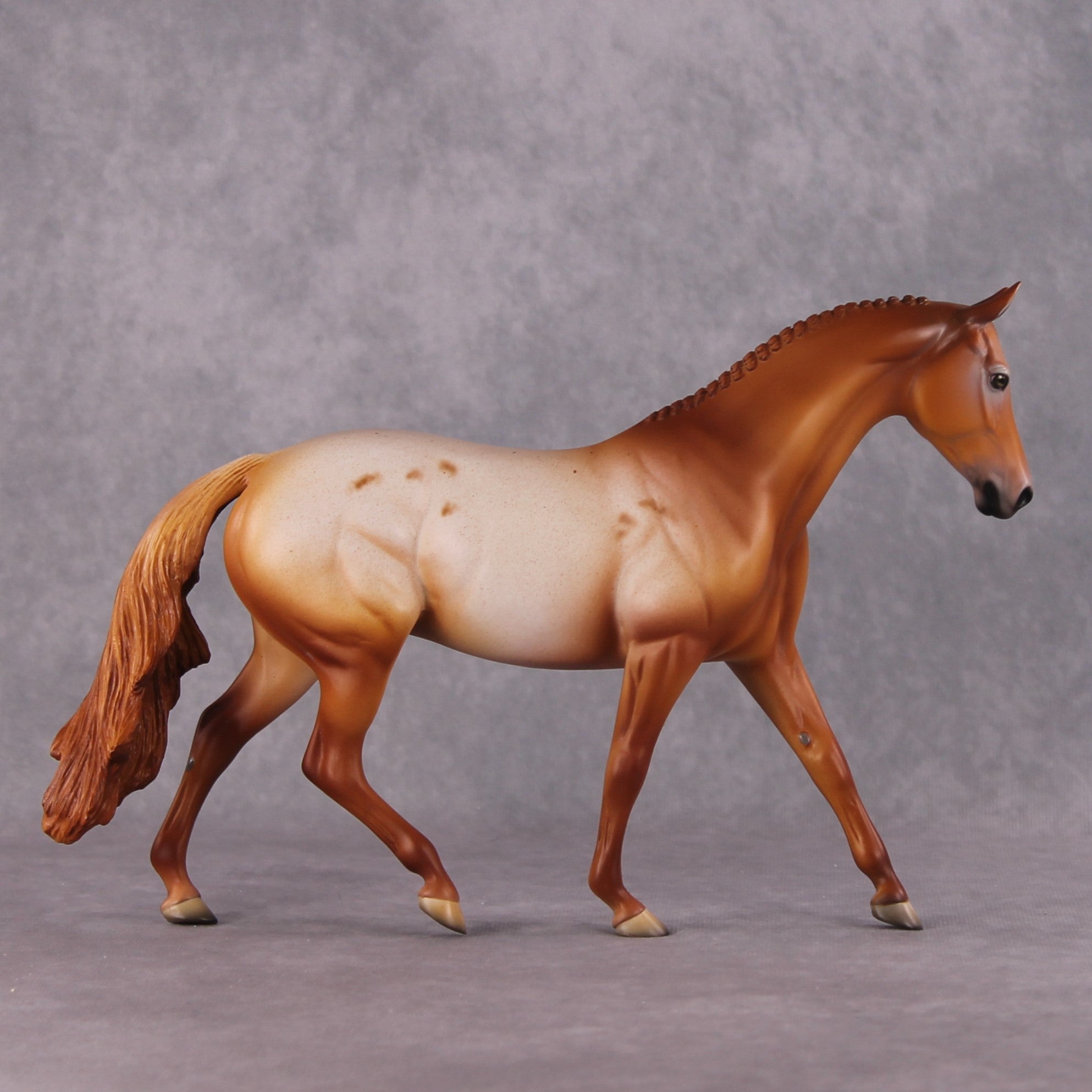 Bellis LE-6 Pony Chip by Dawn Quick FS25