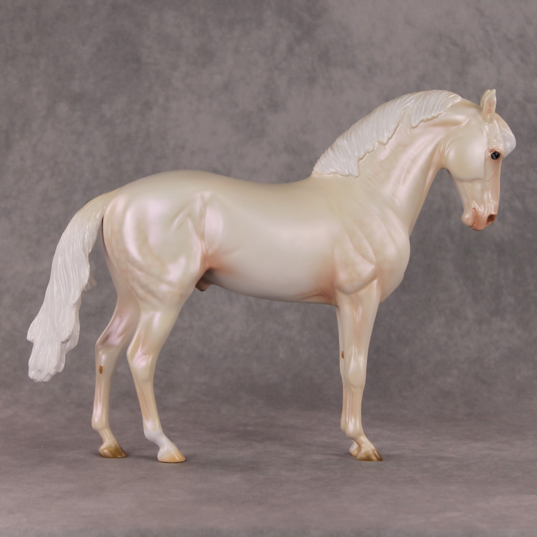 Sugar Plum Prince OOAK  Dappled Cremello Andalusian By Ashley Palmer HS24