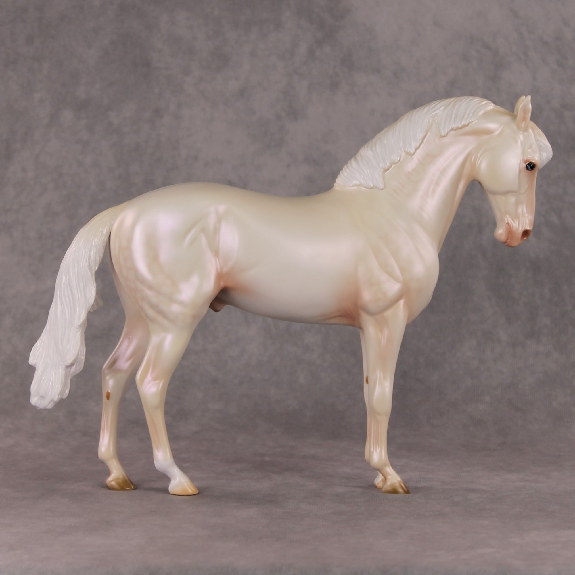 Sugar Plum Prince OOAK  Dappled Cremello Andalusian By Ashley Palmer HS24