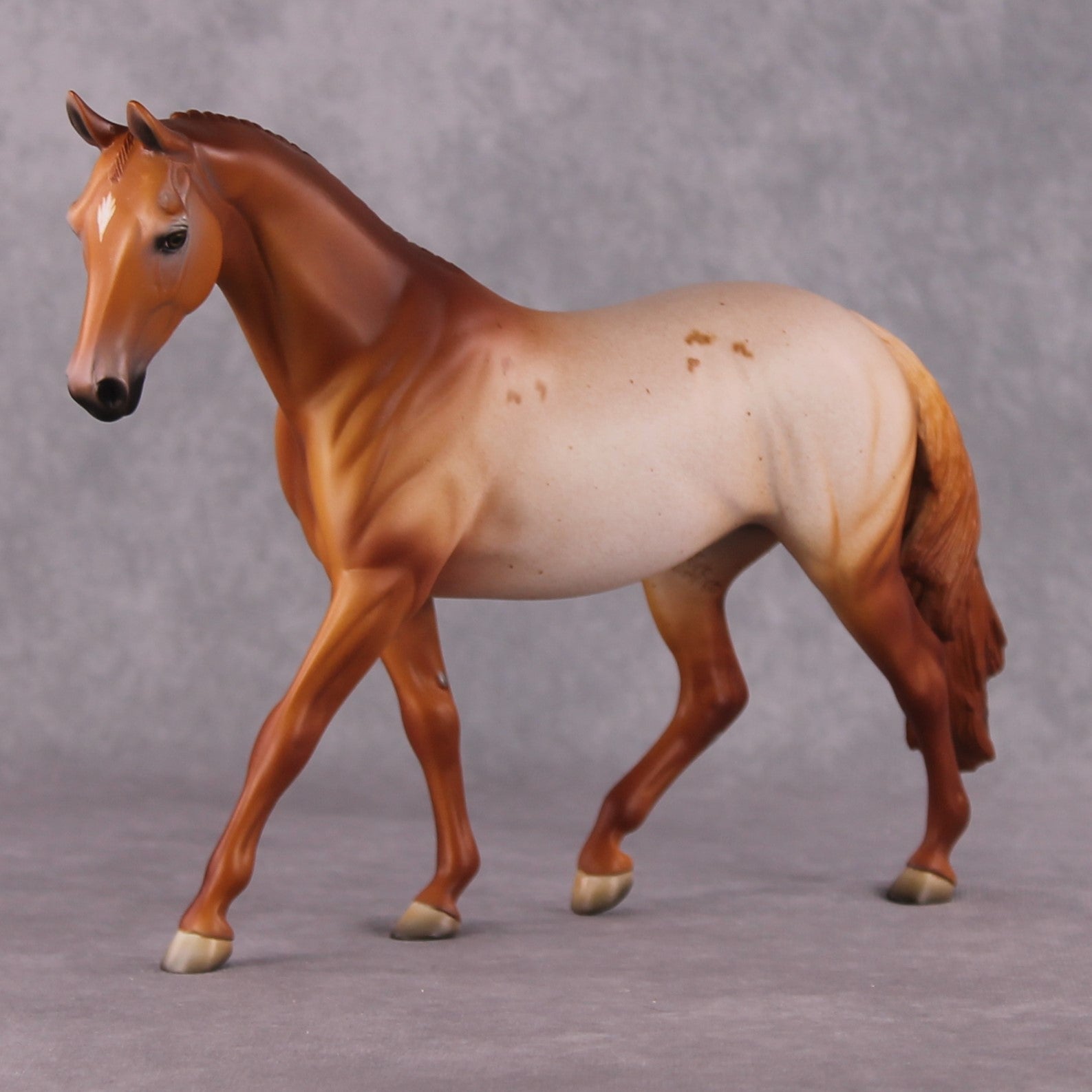 Bellis LE-6 Pony Chip by Dawn Quick FS25