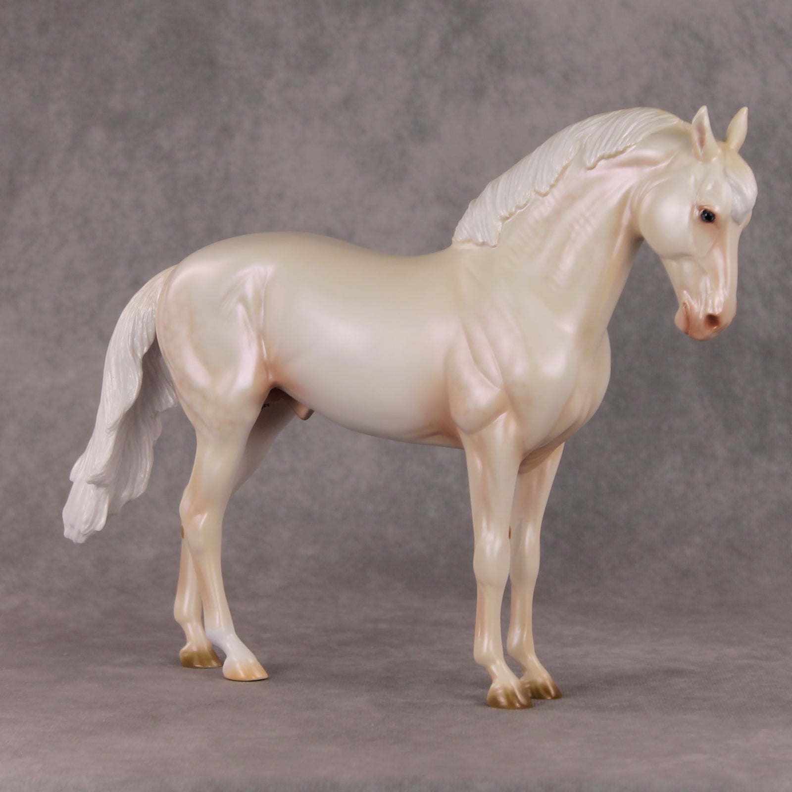 Sugar Plum Prince OOAK  Dappled Cremello Andalusian By Ashley Palmer HS24