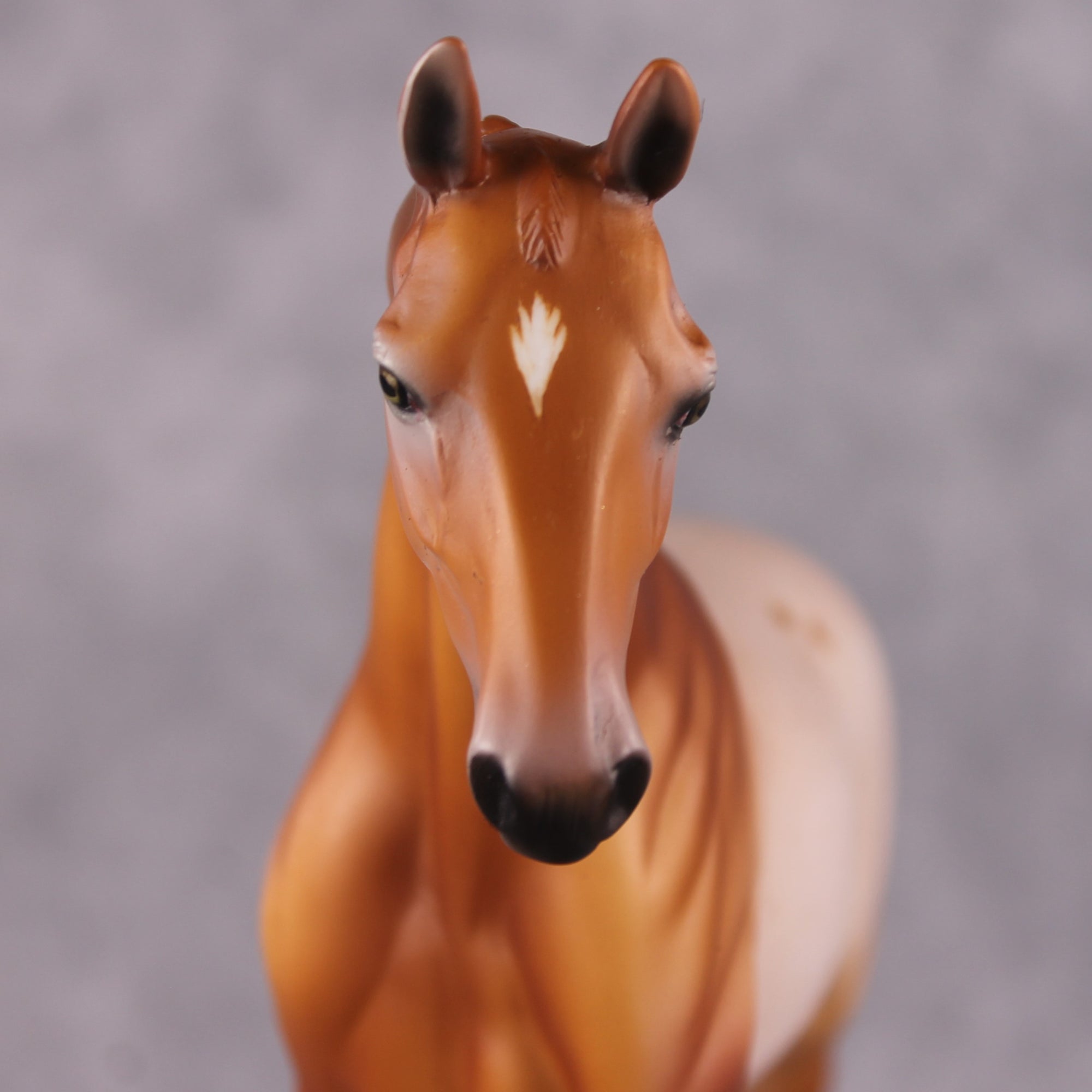 Bellis LE-6 Pony Chip by Dawn Quick FS25