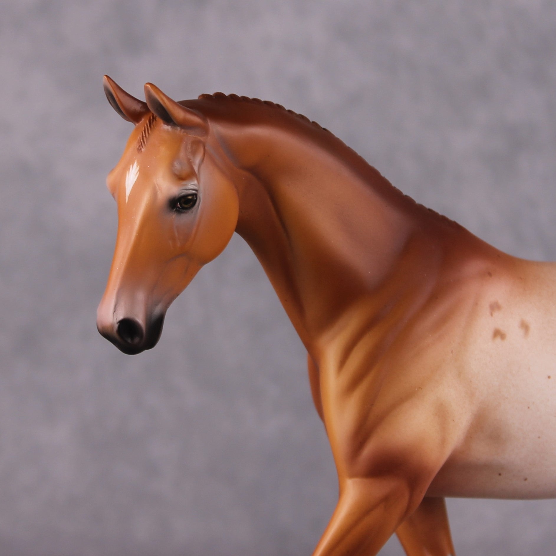 Bellis LE-6 Pony Chip by Dawn Quick FS25