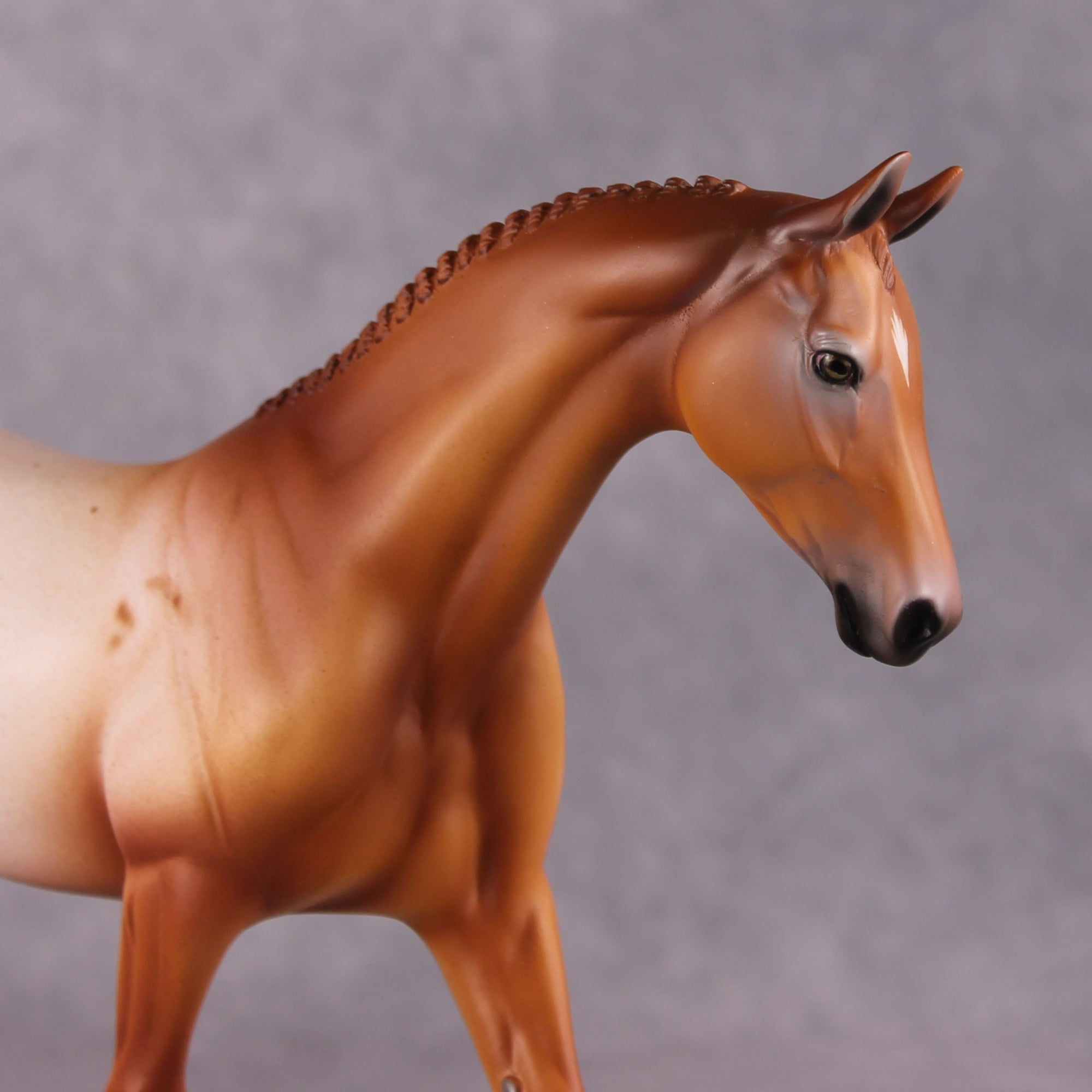 Bellis LE-6 Pony Chip by Dawn Quick FS25