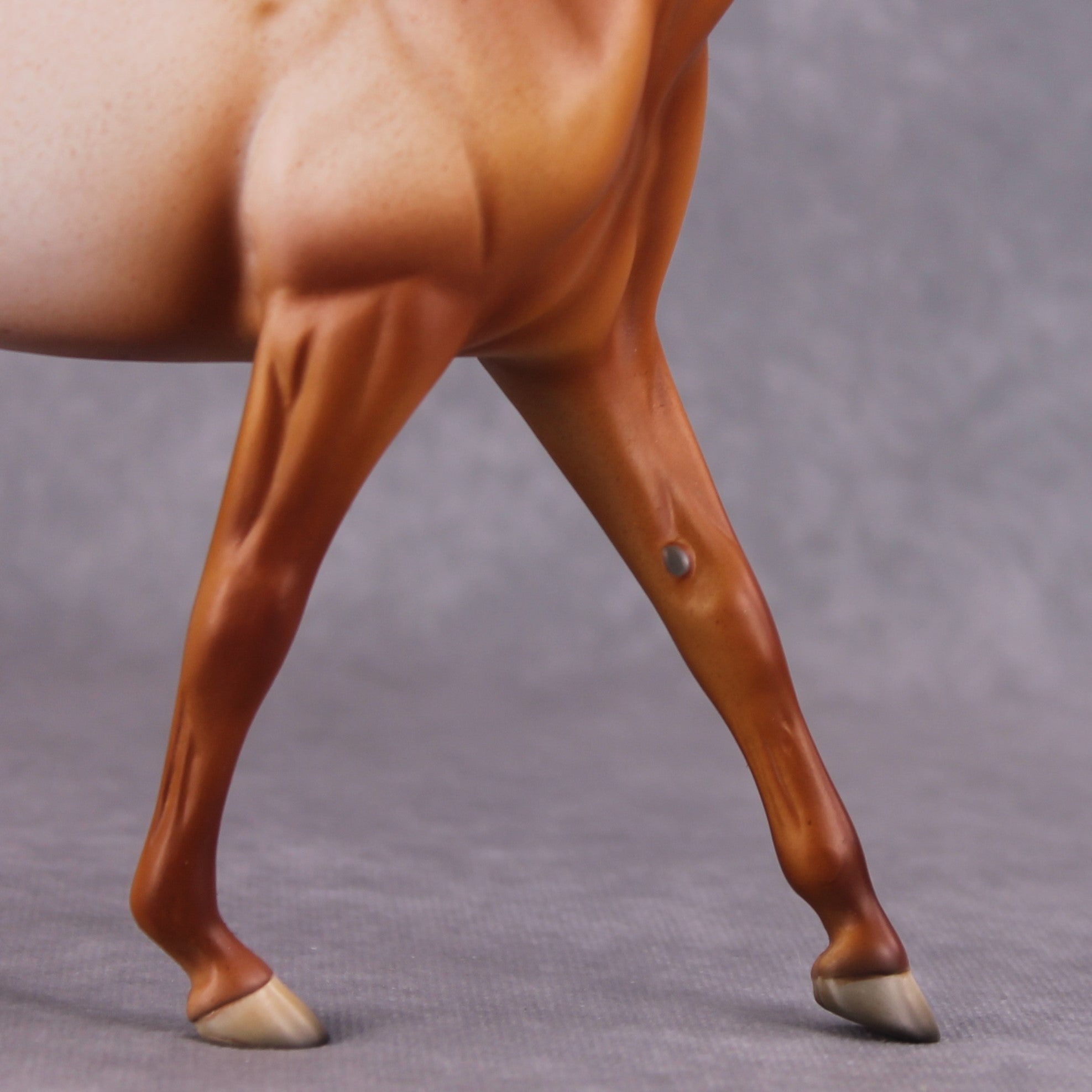 Bellis LE-6 Pony Chip by Dawn Quick FS25