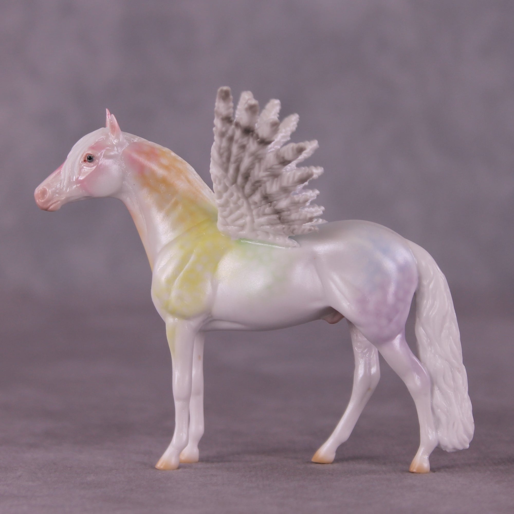 "Puck" FCM Andalusian Chip Blind Grab Bag - Painted By Ellen Robbins CL25