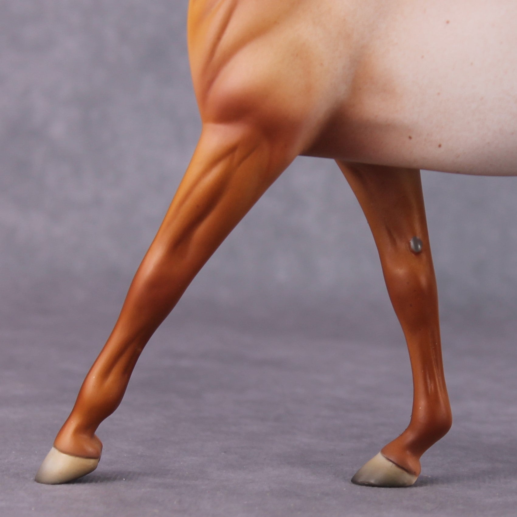 Bellis LE-6 Pony Chip by Dawn Quick FS25