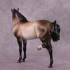 &quot;Rainier&quot; OOAK EFCM Andalusian by Ashley Palmer Best Offer EQ25 07/15/25