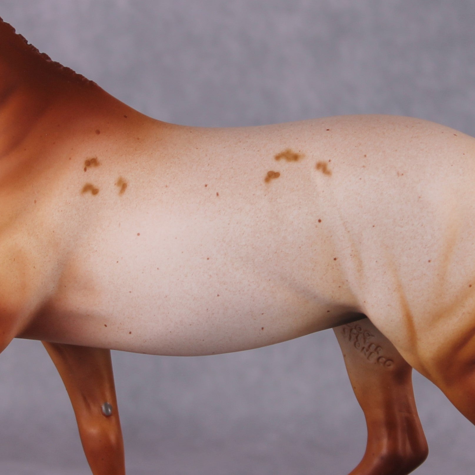 Bellis LE-6 Pony Chip by Dawn Quick FS25