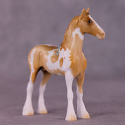 Status Quo LE-5 Chip Standing Draft by Erin Corbett September $99 Chips