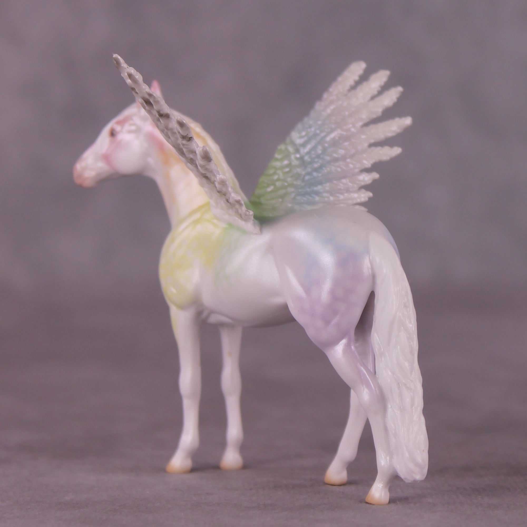 "Puck" FCM Andalusian Chip Blind Grab Bag - Painted By Ellen Robbins CL25