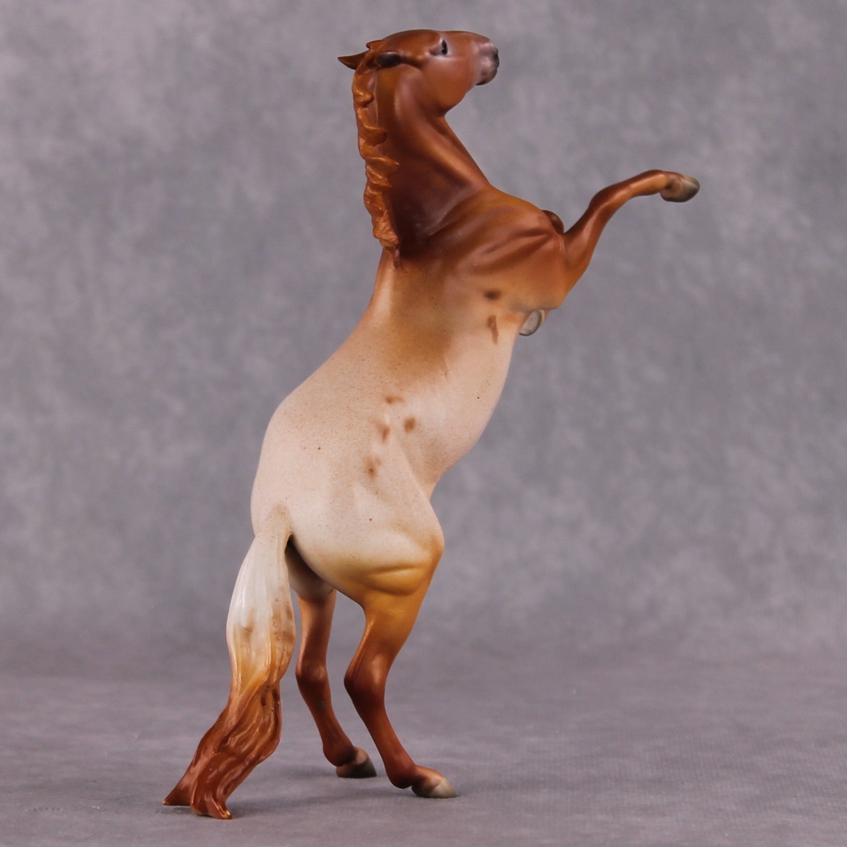 Bellis LE-6 Pony Chip by Dawn Quick FS25