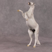 Snow Day OOAK Light Dapple Grey Rearing Pebble By Ellen Robbins HS24