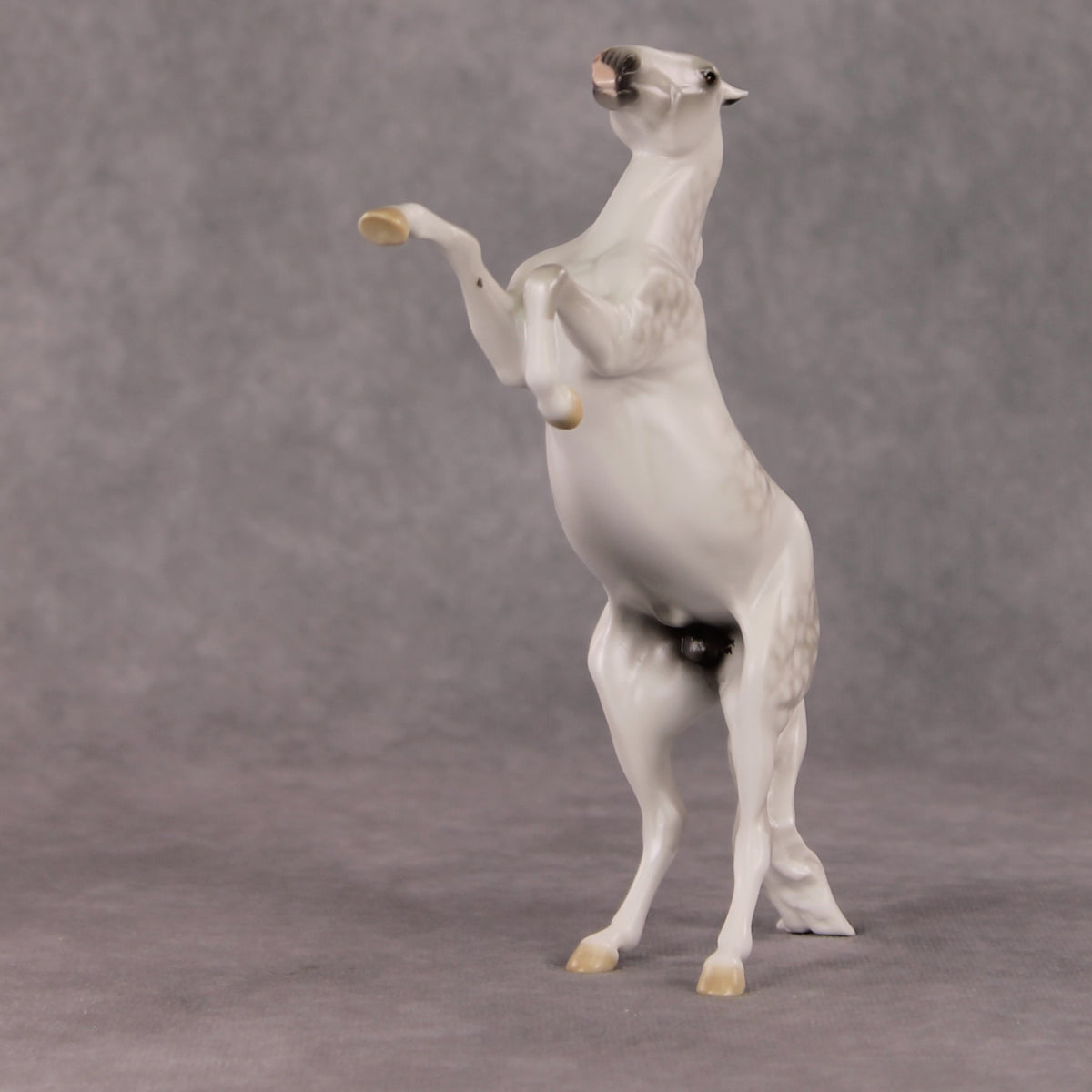 Snow Day OOAK Light Dapple Grey Rearing Pebble By Ellen Robbins HS24