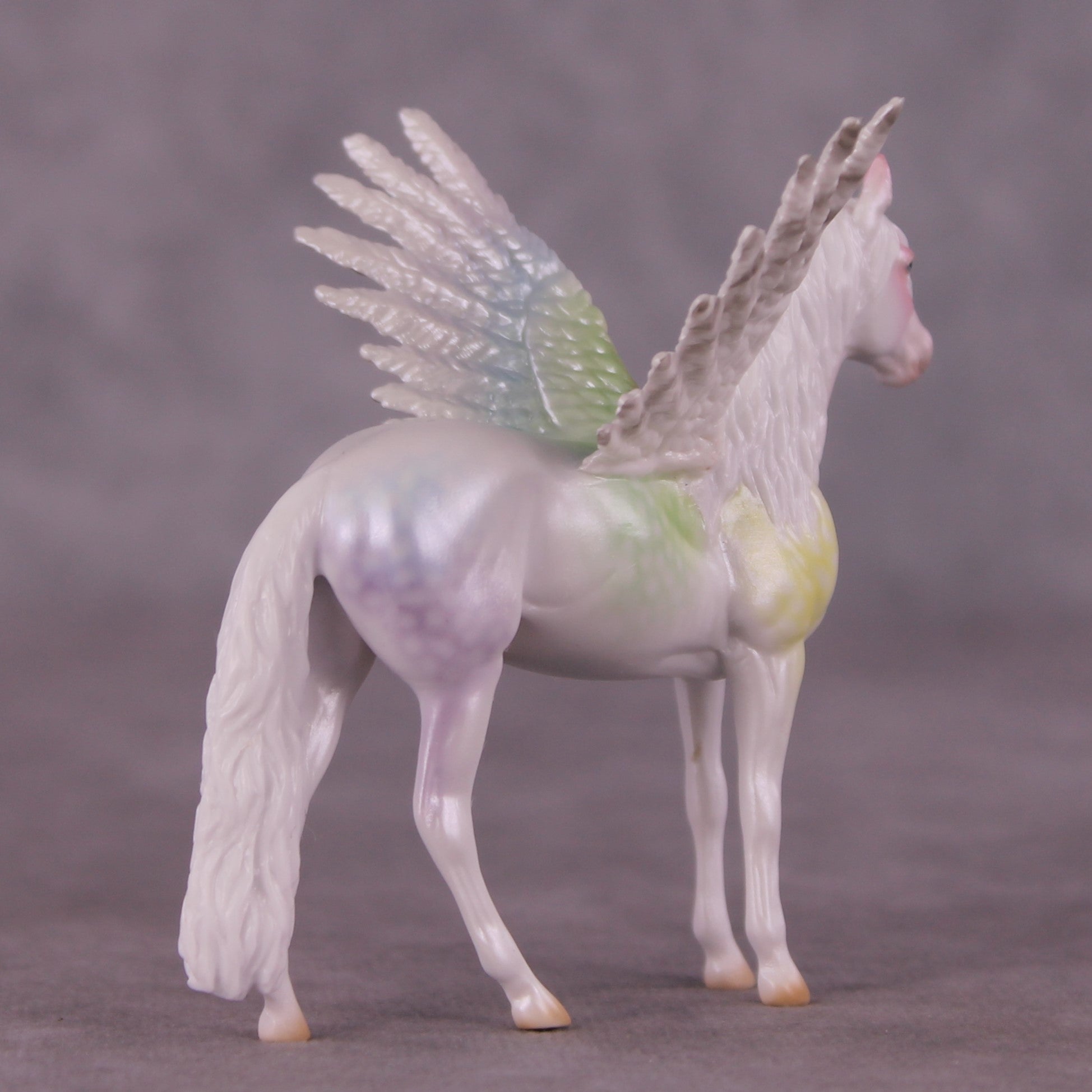 "Puck" FCM Andalusian Chip Blind Grab Bag - Painted By Ellen Robbins CL25