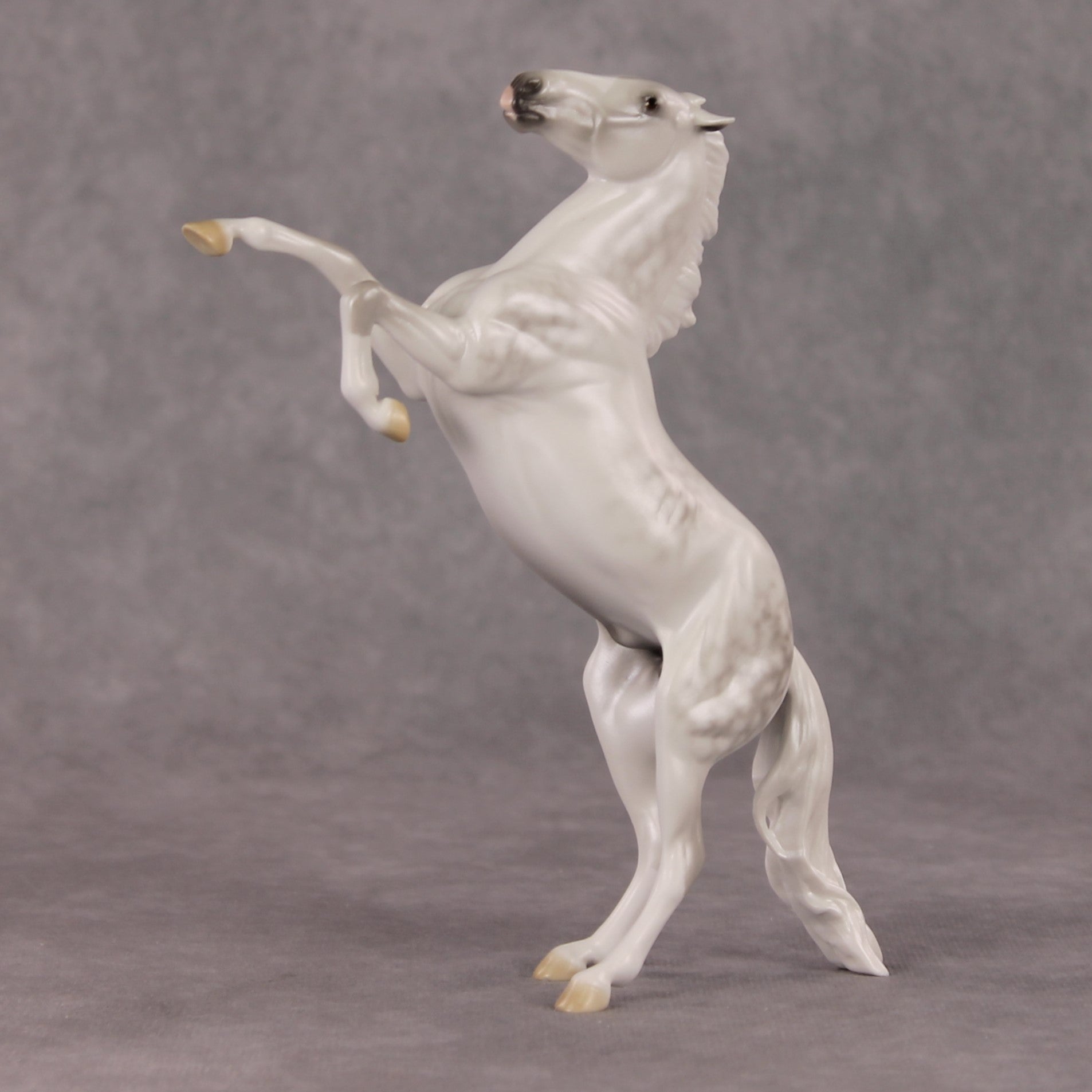 Snow Day OOAK Light Dapple Grey Rearing Pebble By Ellen Robbins HS24