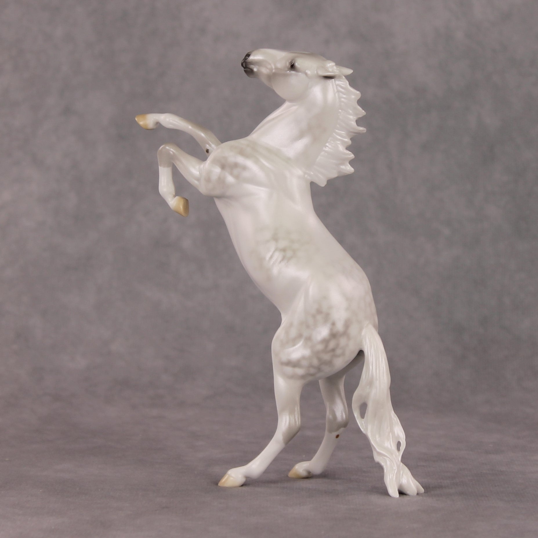 Snow Day OOAK Light Dapple Grey Rearing Pebble By Ellen Robbins HS24