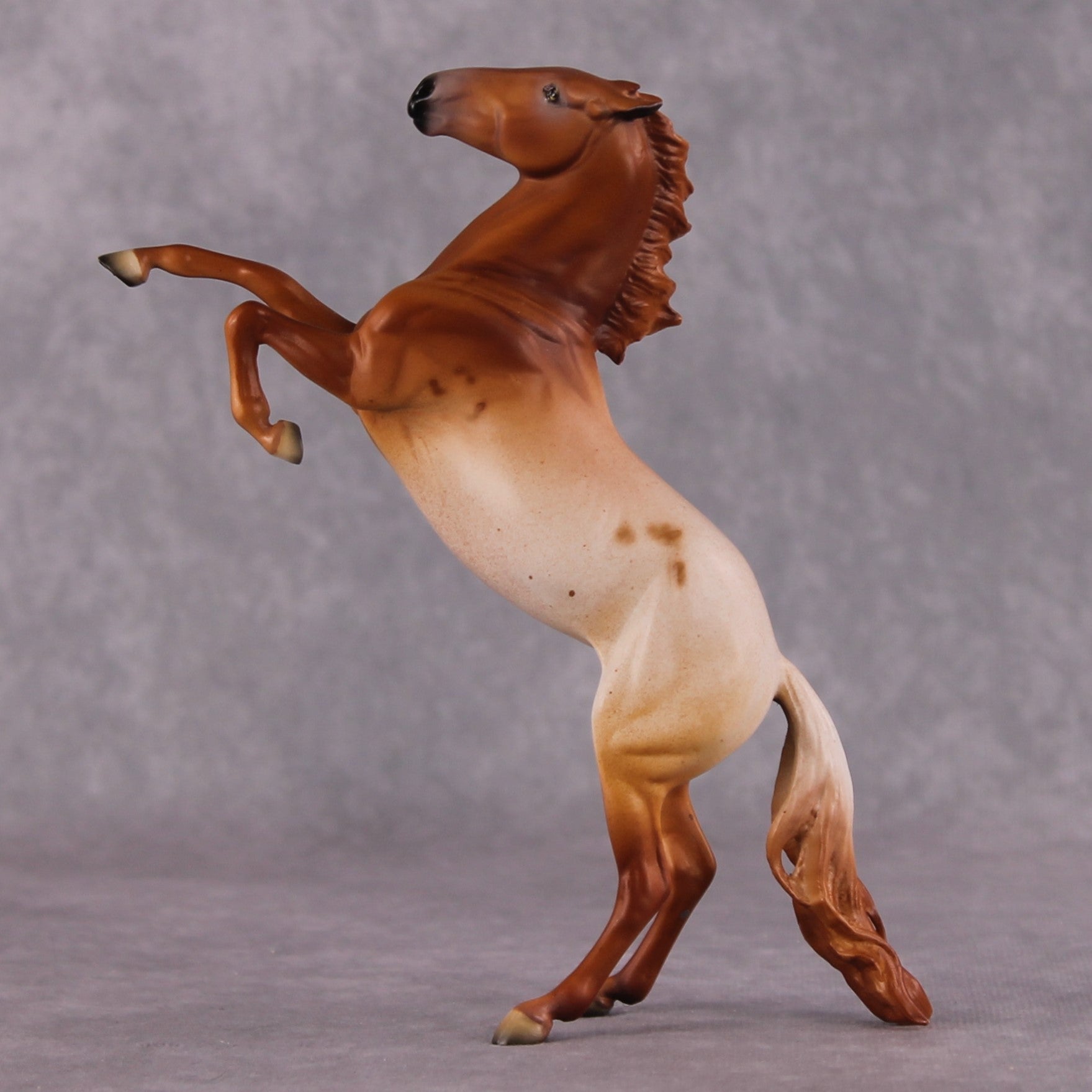 Bellis LE-6 Pony Chip by Dawn Quick FS25