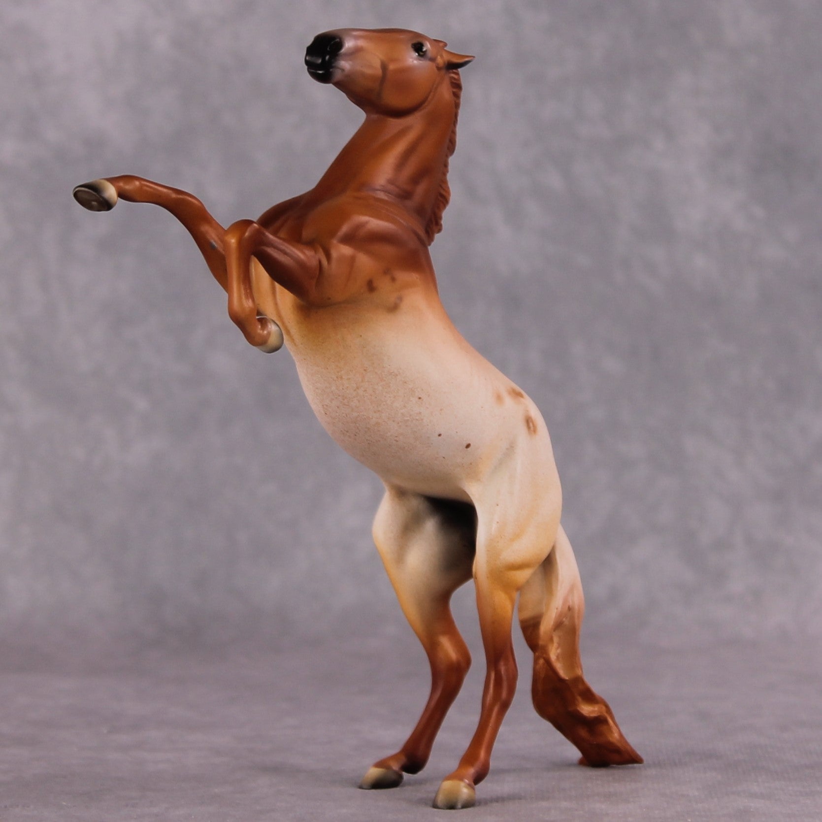 Bellis LE-6 Pony Chip by Dawn Quick FS25