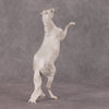 Snow Day OOAK Light Dapple Grey Rearing Pebble By Ellen Robbins HS24