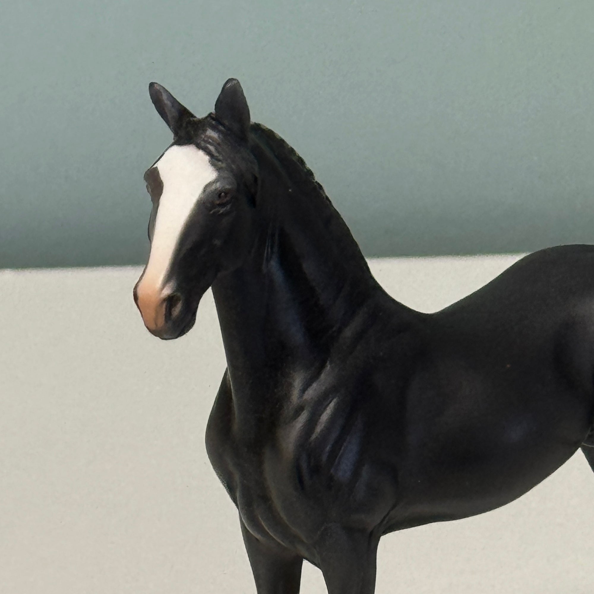 Novus LE-30 Equilocity Thursday Night Launch Pool Party Giveaway Black Standing Draft Chip By Dawn Quick EQ24