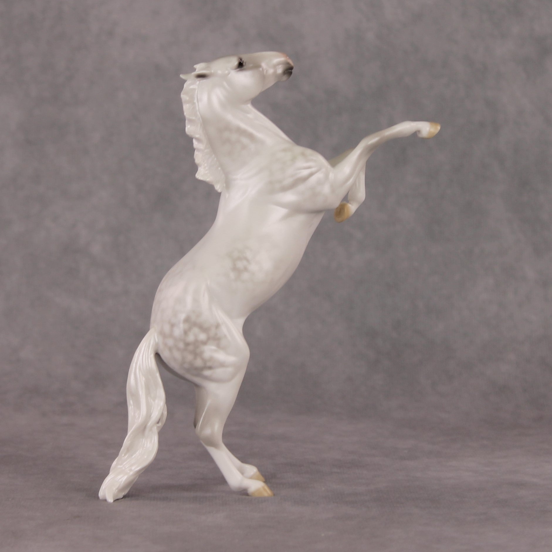 Snow Day OOAK Light Dapple Grey Rearing Pebble By Ellen Robbins HS24