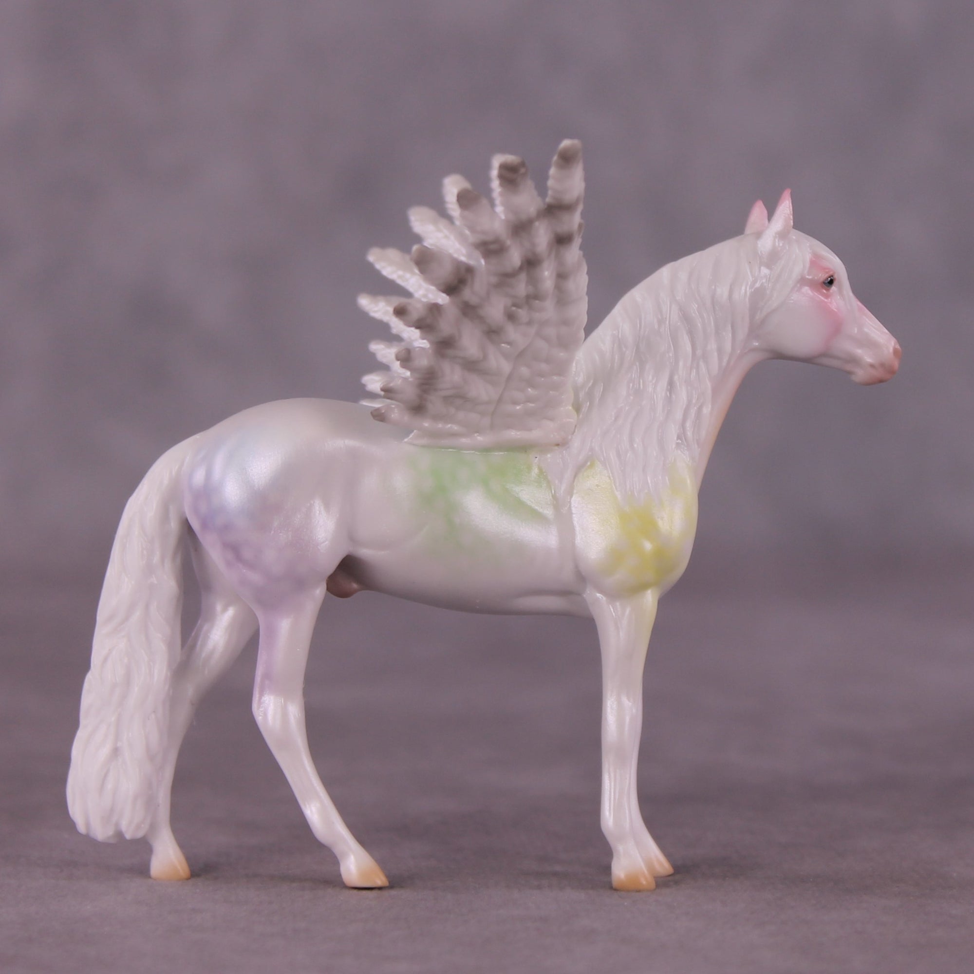 "Puck" FCM Andalusian Chip Blind Grab Bag - Painted By Ellen Robbins CL25