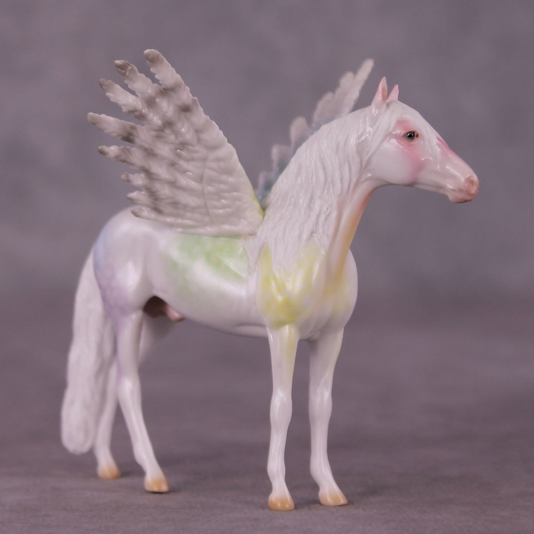 "Puck" FCM Andalusian Chip Blind Grab Bag - Painted By Ellen Robbins CL25