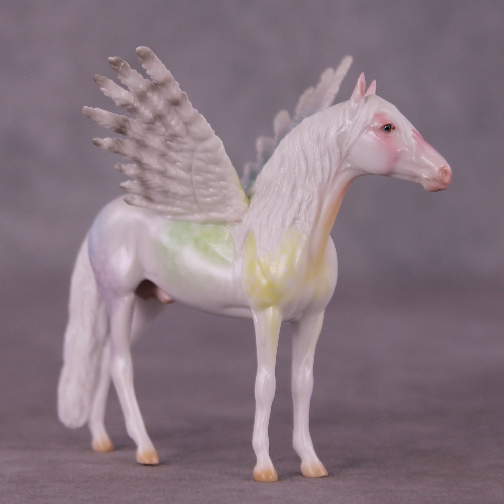 "Puck" FCM Andalusian Chip Blind Grab Bag - Painted By Ellen Robbins CL25
