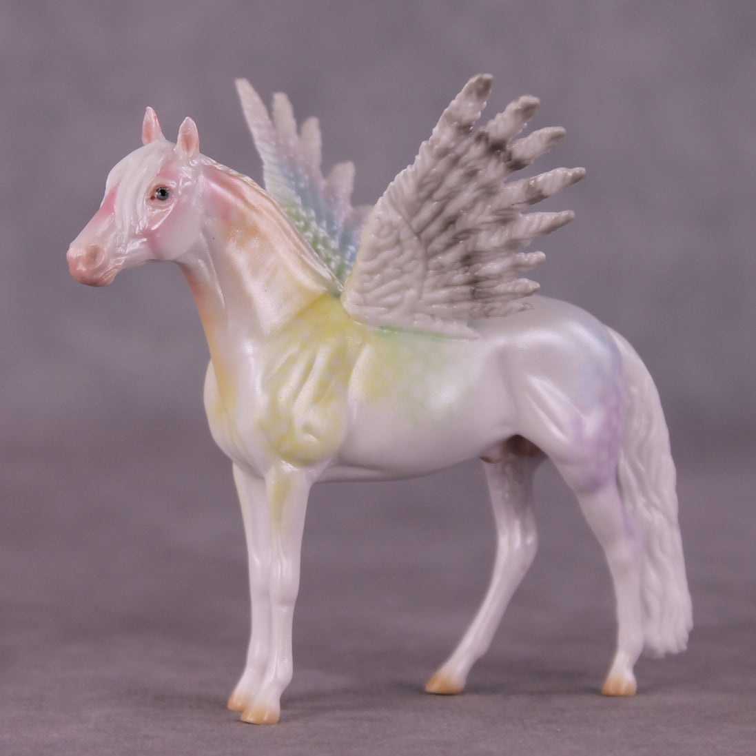"Puck" FCM Andalusian Chip Blind Grab Bag - Painted By Ellen Robbins CL25