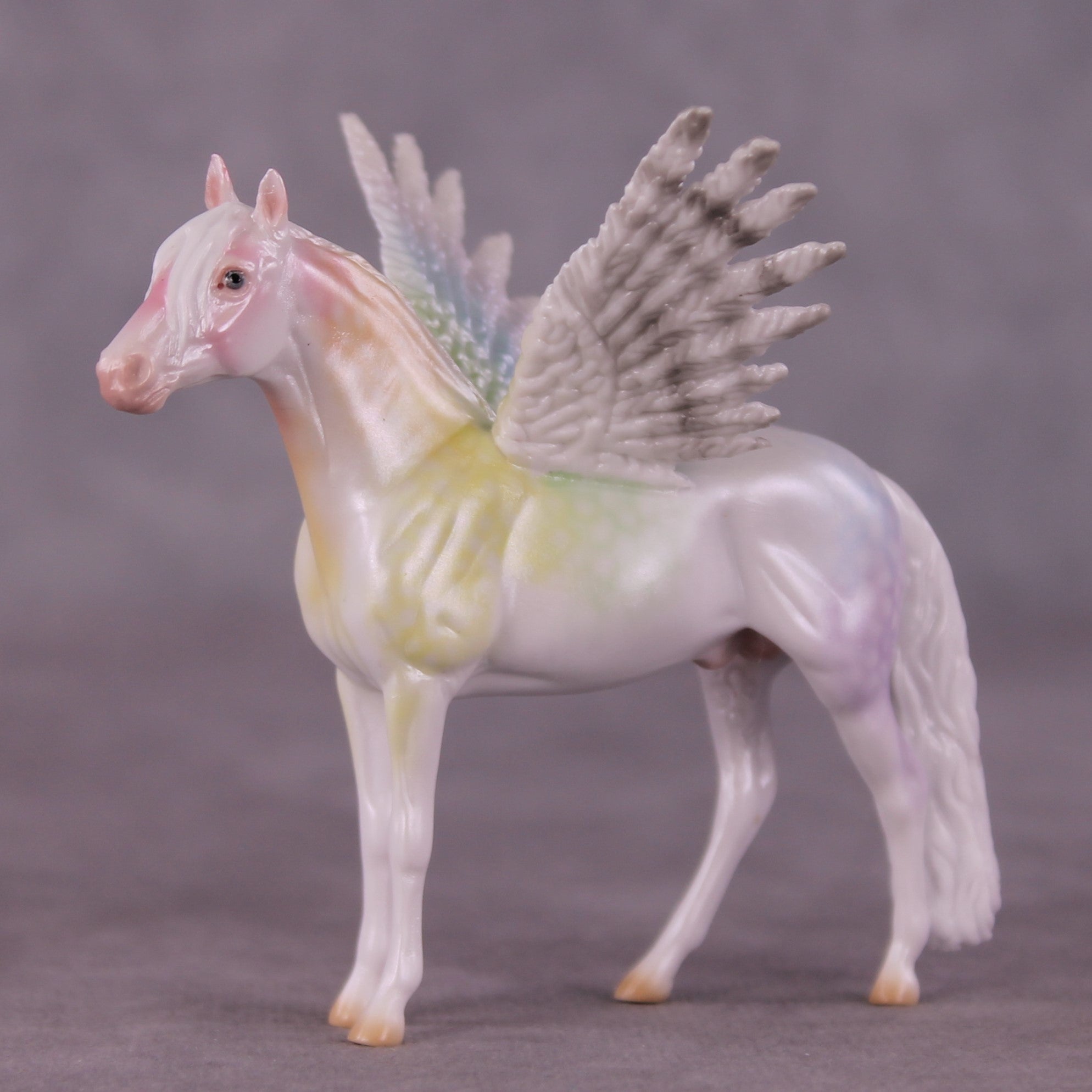 "Puck" FCM Andalusian Chip Blind Grab Bag - Painted By Ellen Robbins CL25