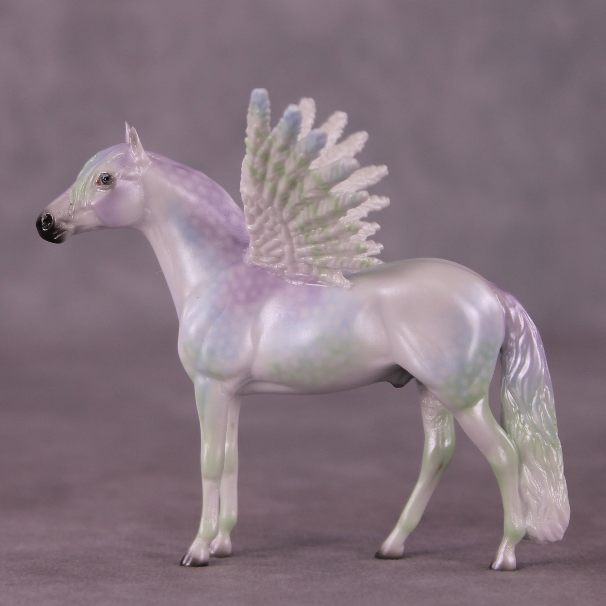"Puck" FCM Andalusian Chip Blind Grab Bag - Painted By Ellen Robbins CL25