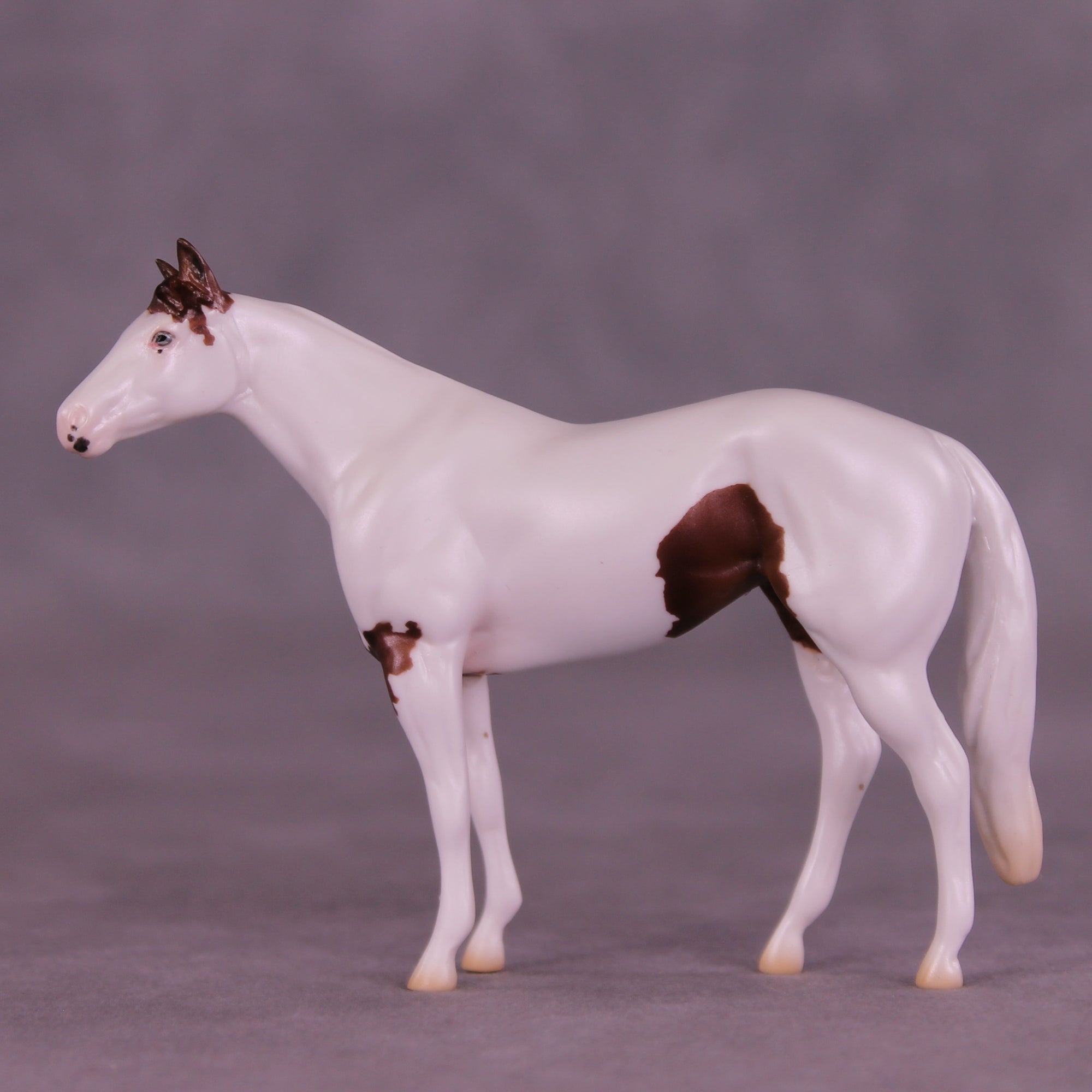 SAMPLE Troubador LE-8 FCM Chip Stock Horse by Ellen Robbins SS0626