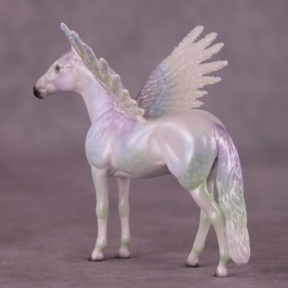 "Puck" FCM Andalusian Chip Blind Grab Bag - Painted By Ellen Robbins CL25