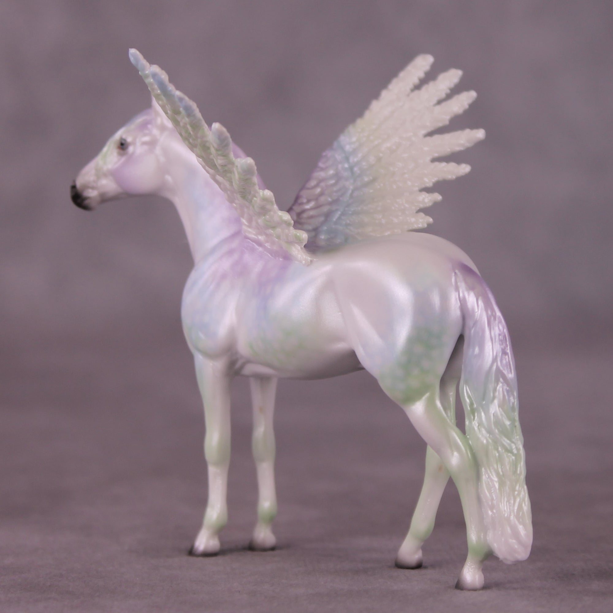 "Puck" FCM Andalusian Chip Blind Grab Bag - Painted By Ellen Robbins CL25